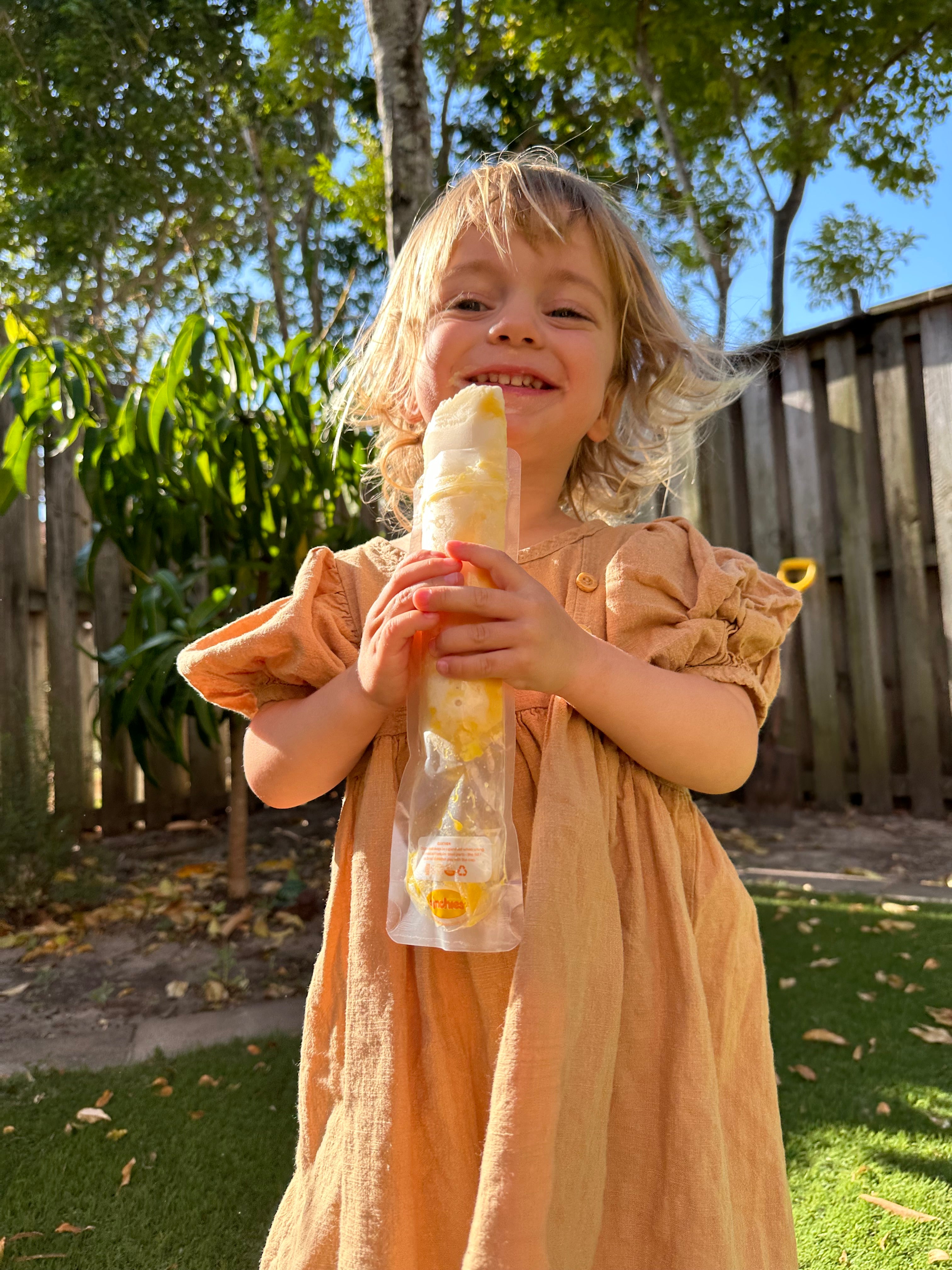 DIY mango and yoghurt ice block