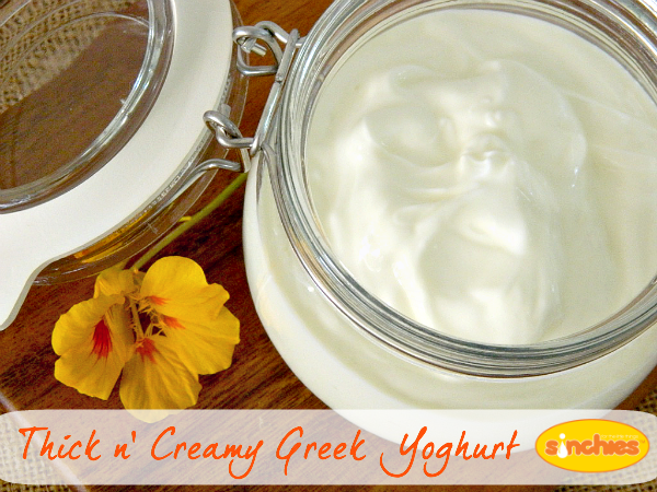 thick and creamy greek yogurt