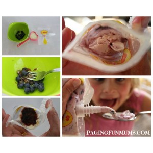 Frozen Blueberry Yogurt Recipe - Sinchies