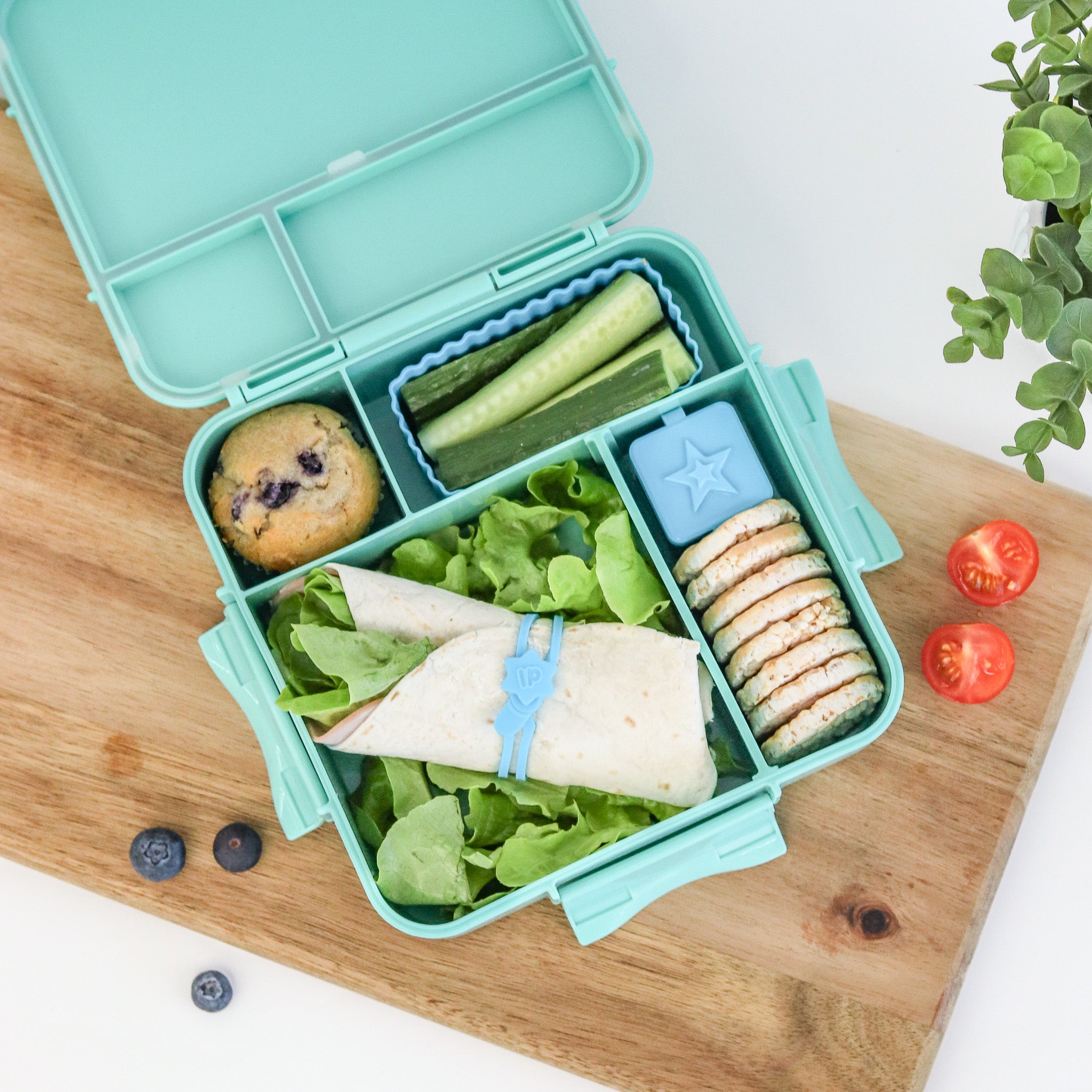 Montii Co Default Title