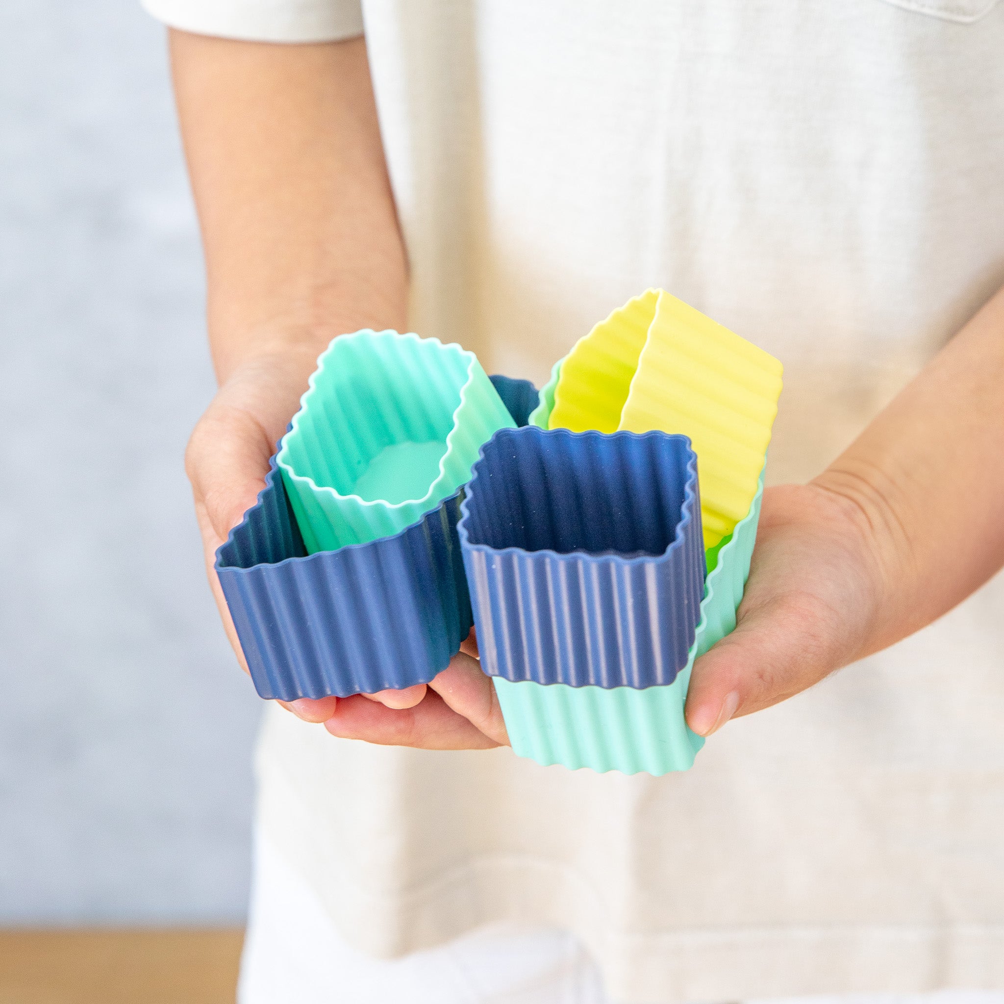 marine mixed silicone bento cups