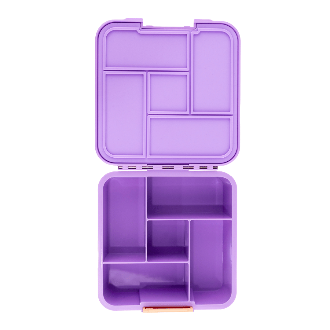 purple rainbow bento five lunch box