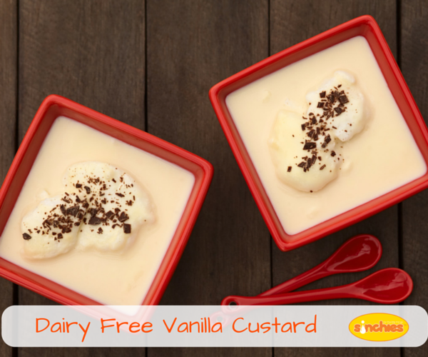 Dairy Free Vanilla Custard