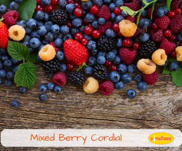 Mixed Berry Cordial homemade