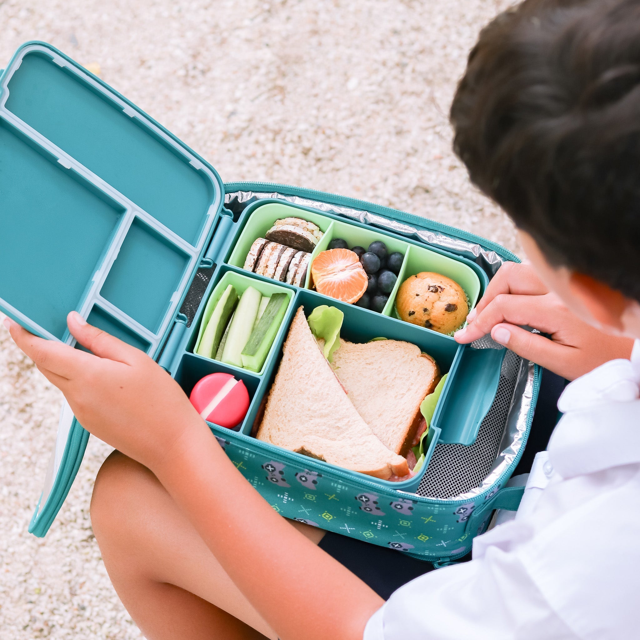 Feast bento lunch box