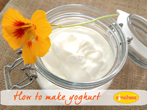 how-to-make-creamy-yoghurt-recipe-sinchies-reusable-yoghurt-squeezy-pouches