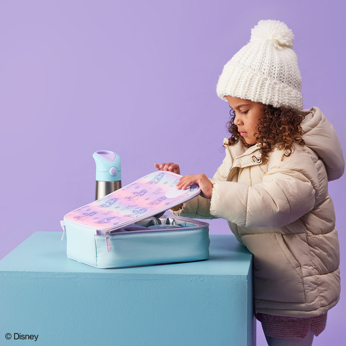 frozen insulated lunch bag