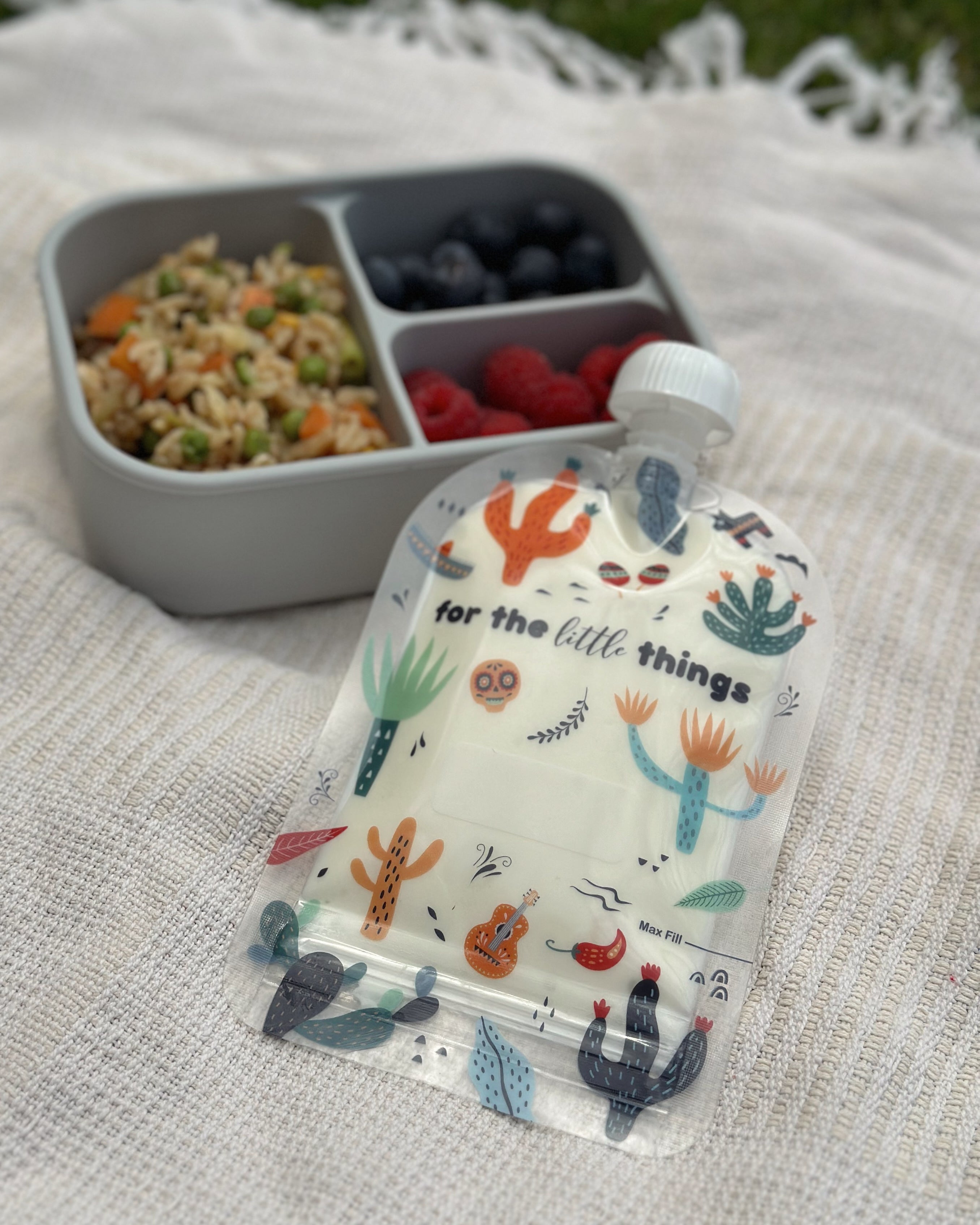 mexican cactus reusable food pouch