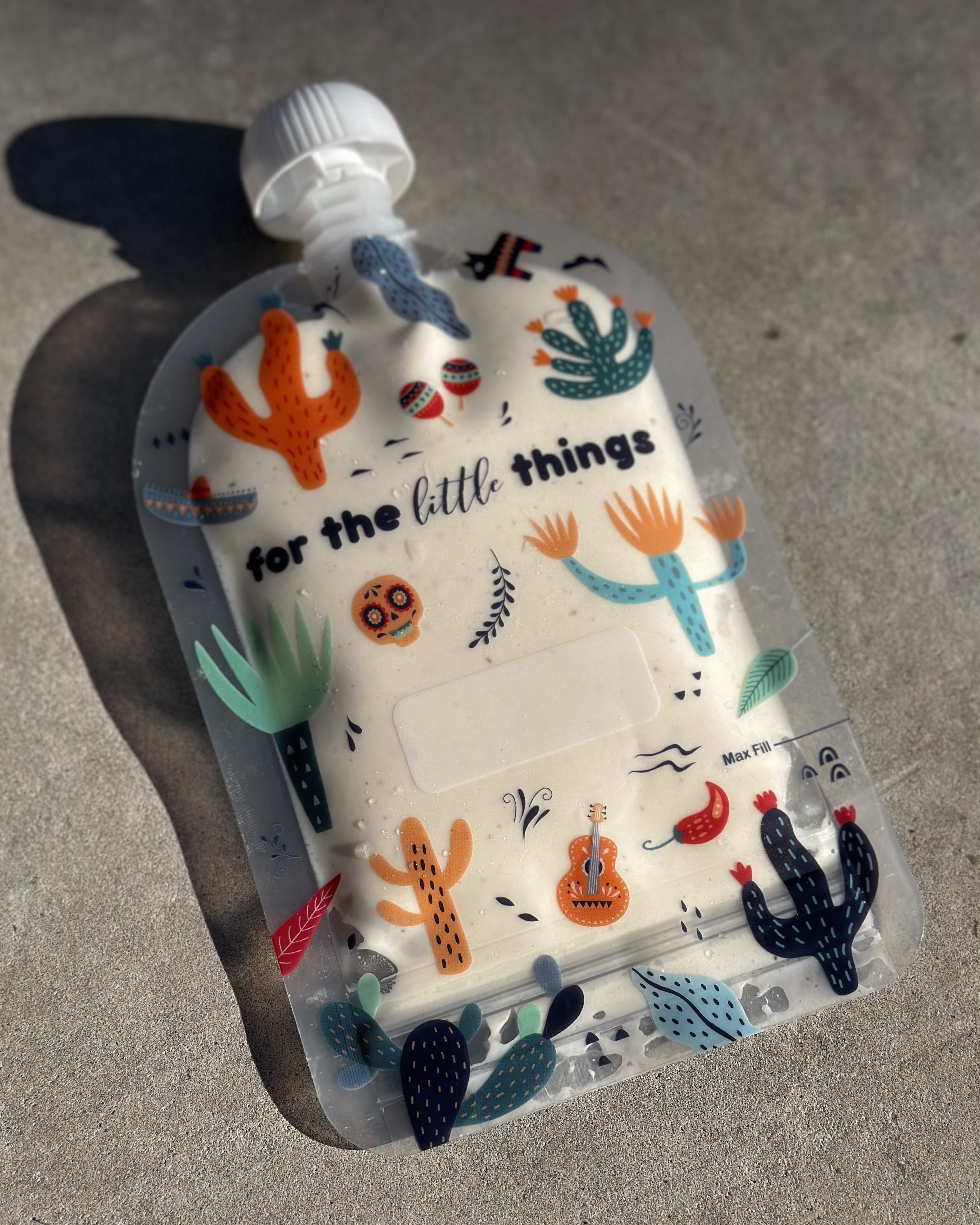 mexican cactus reusable food pouch