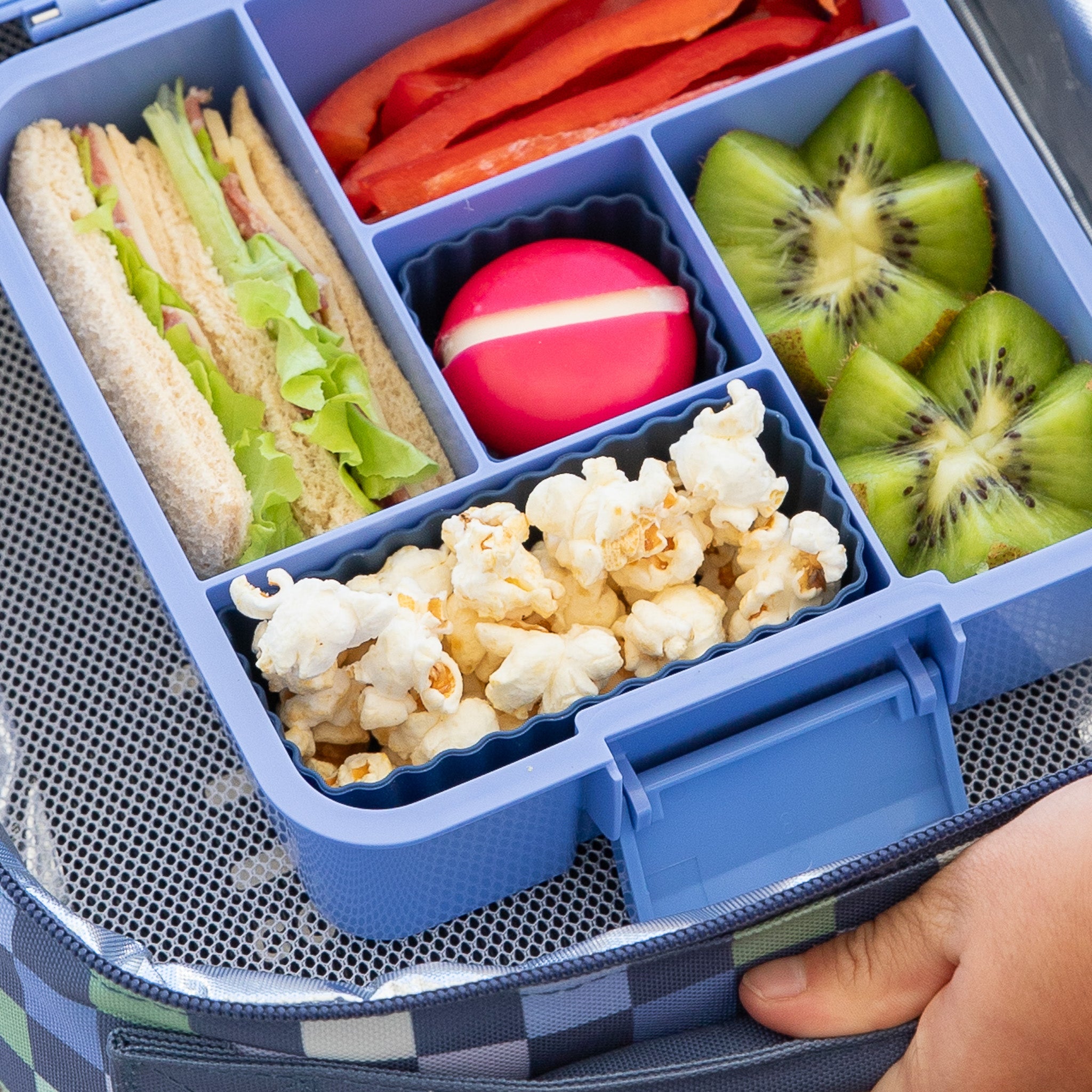 navy silicone mixed bento cups