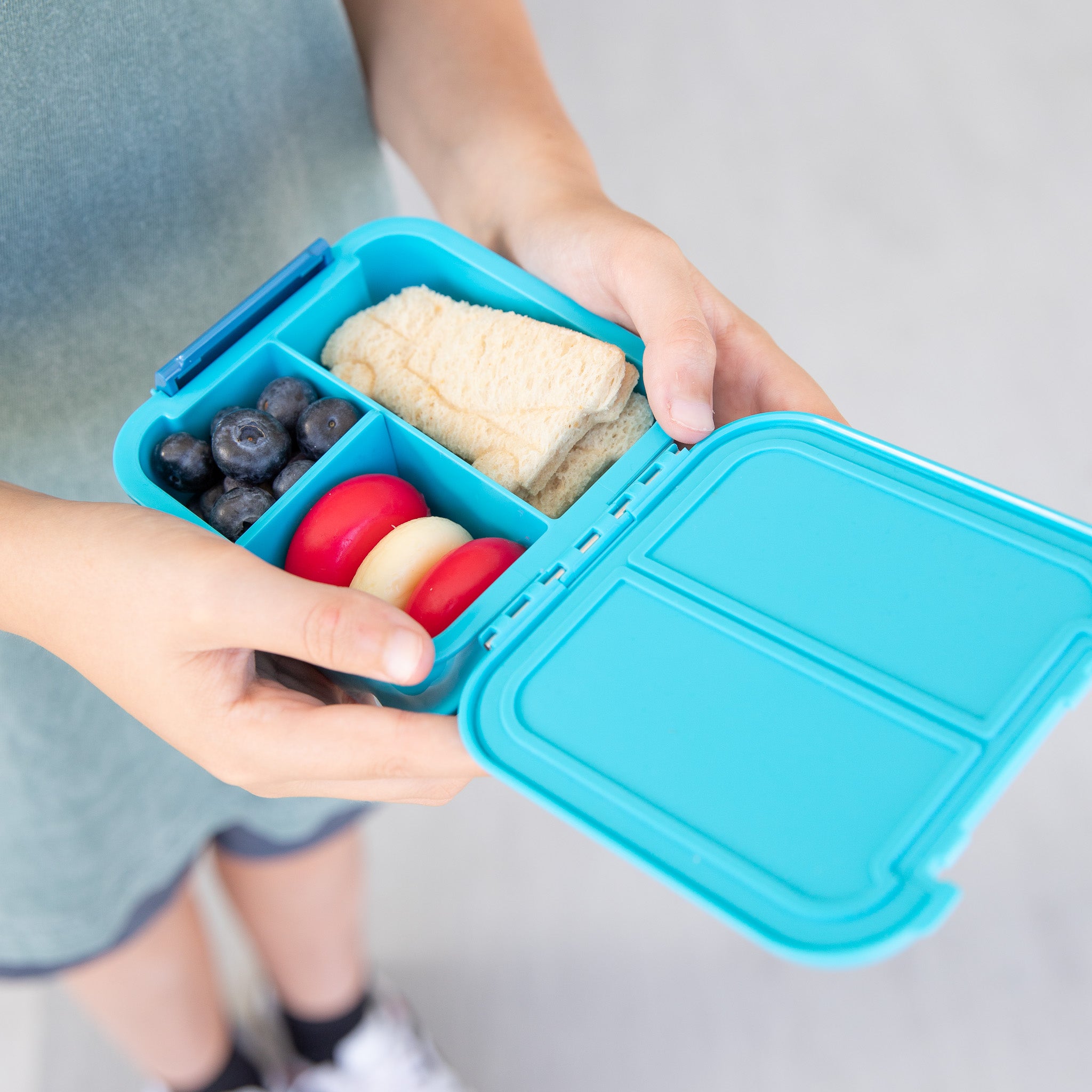 bento two coastal lunch box