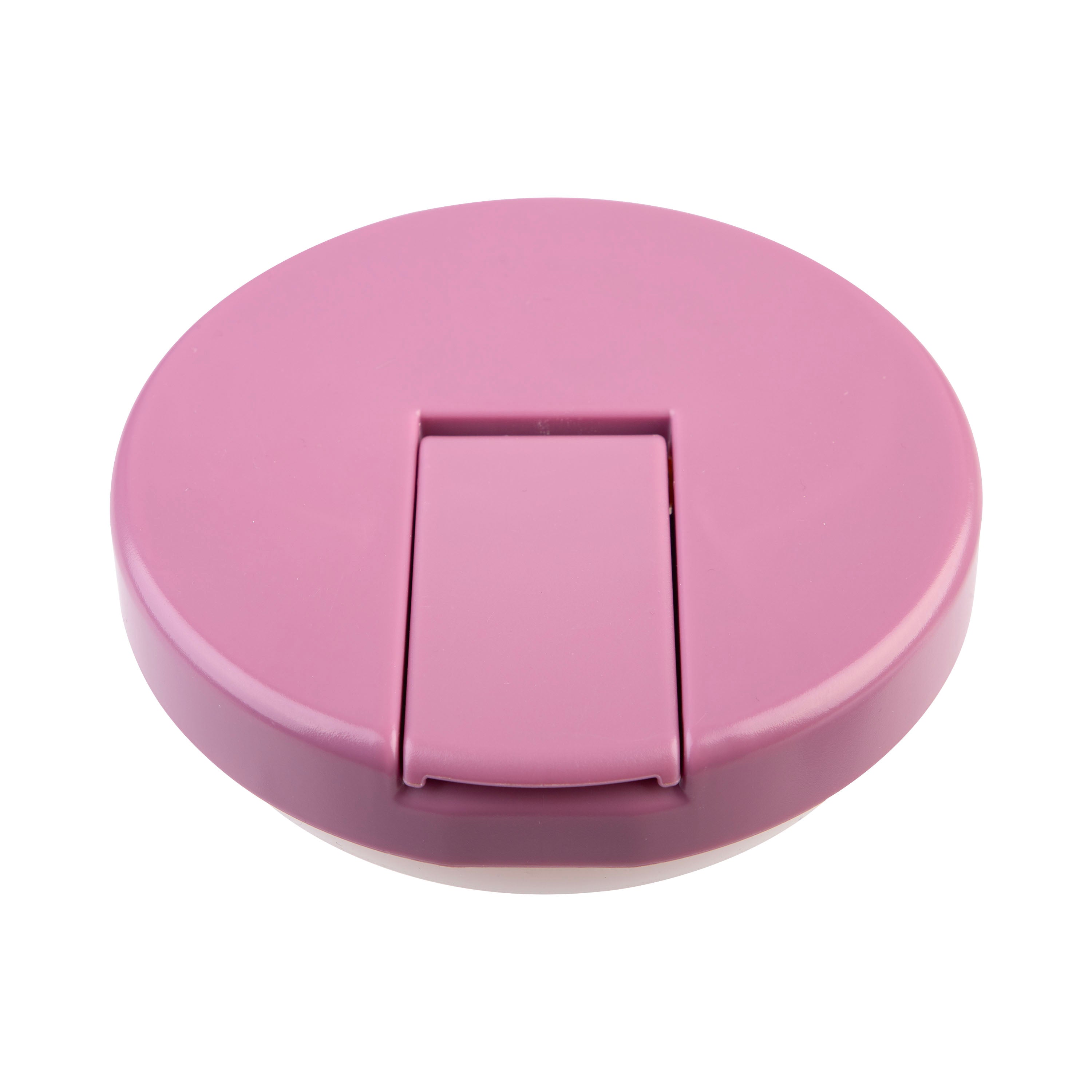 Oasis Stainless Steel Food Jar (300ml) - blush