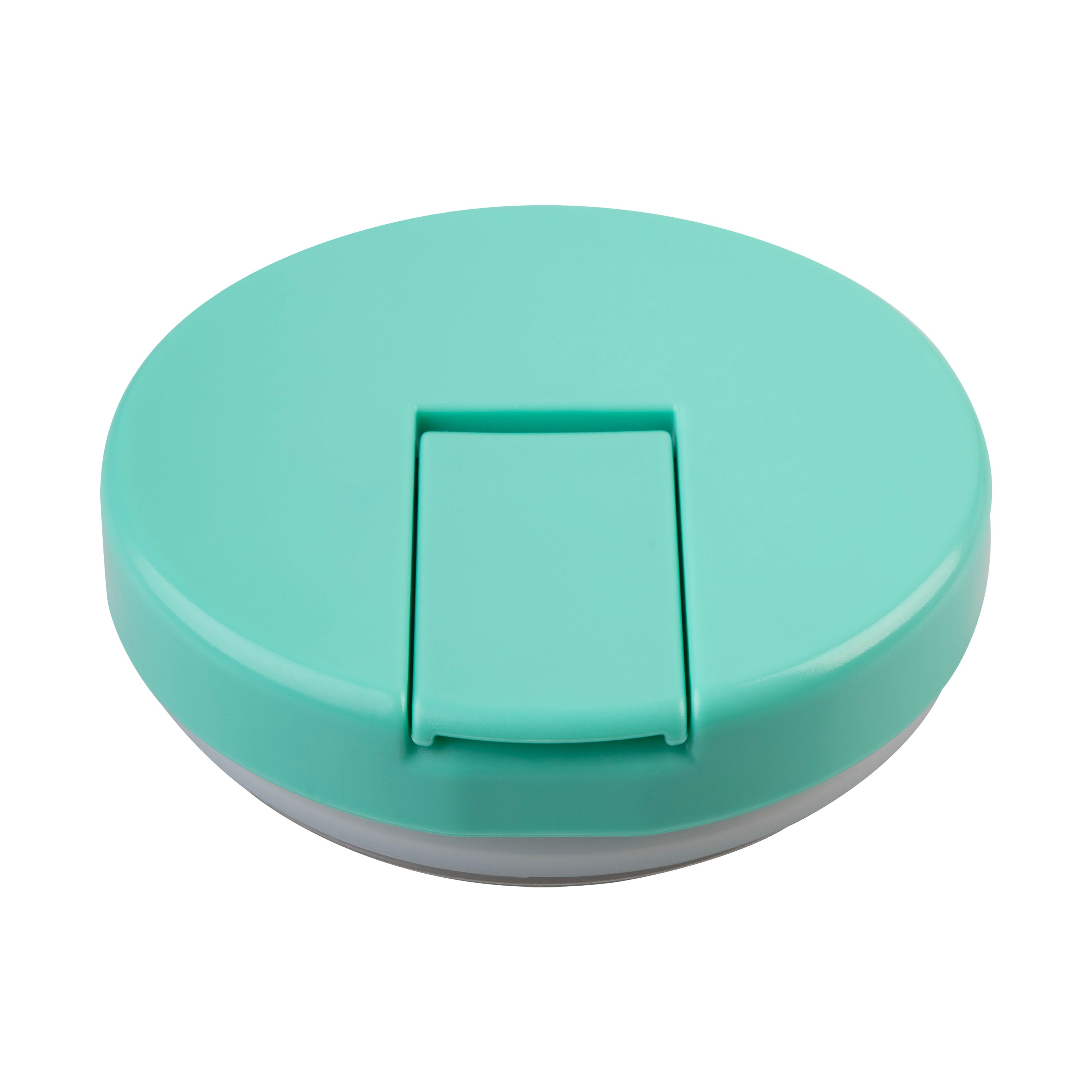 Oasis Stainless Steel Food Jar (300ml) - mint