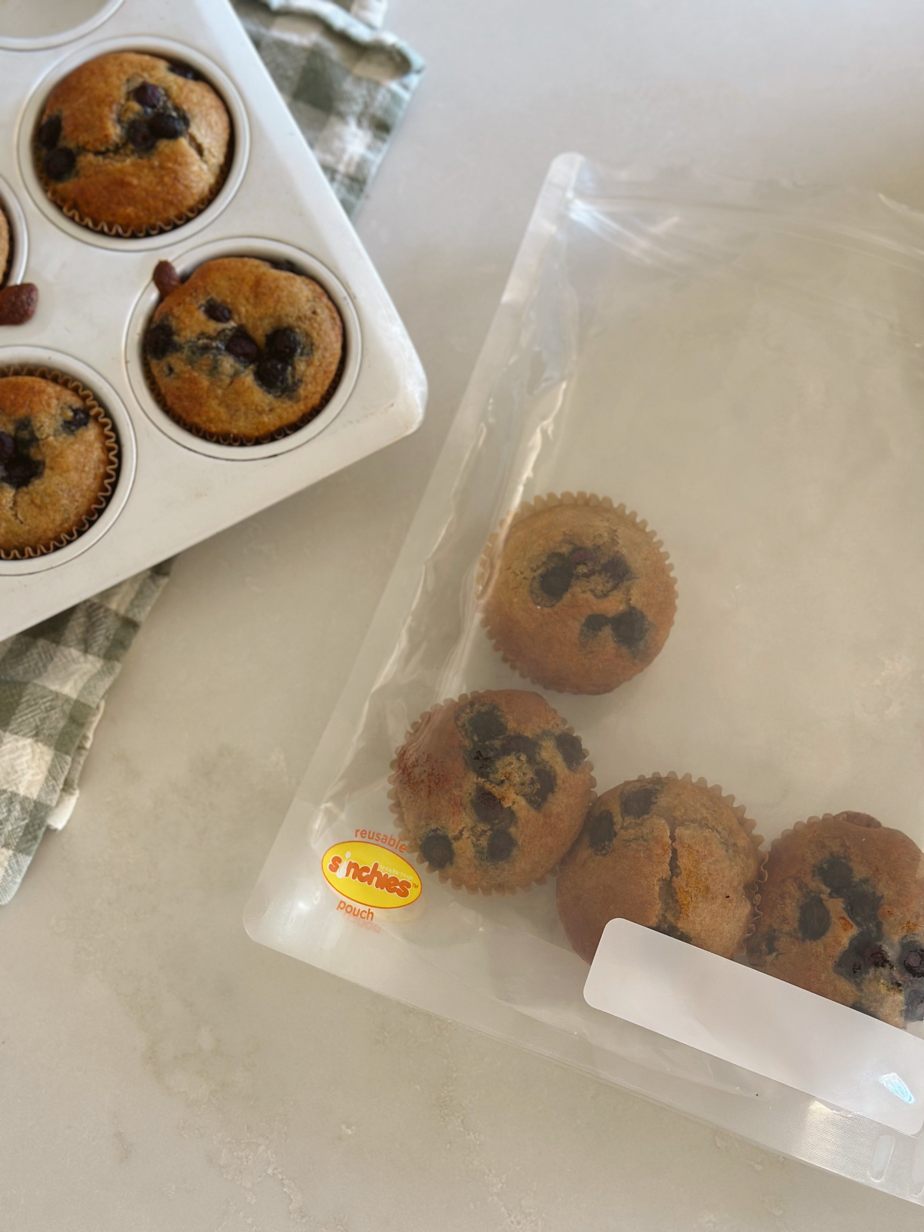 Sinchies Extra Large Ziplock Bags