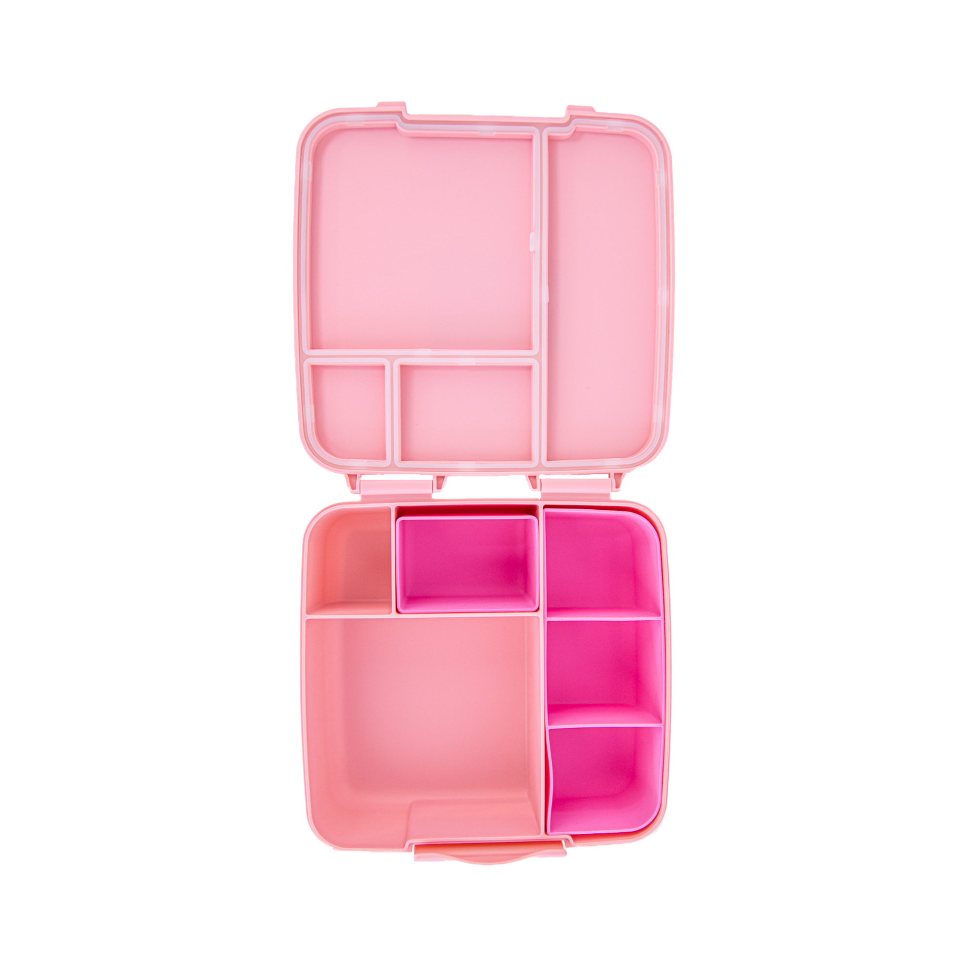 Dahlia pink feast bento lunch box by Montiico