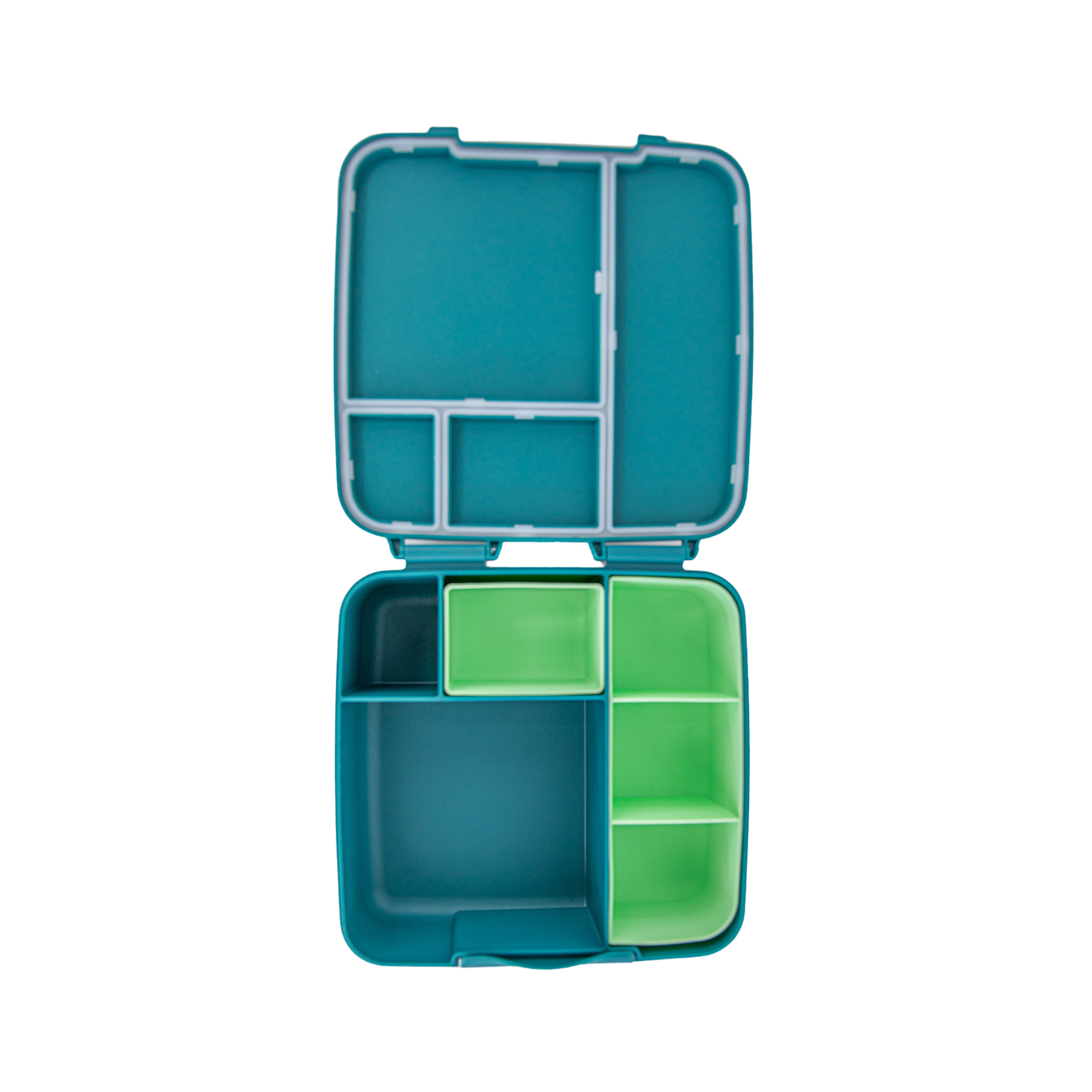 MOntiico feast pine green bento lunch box