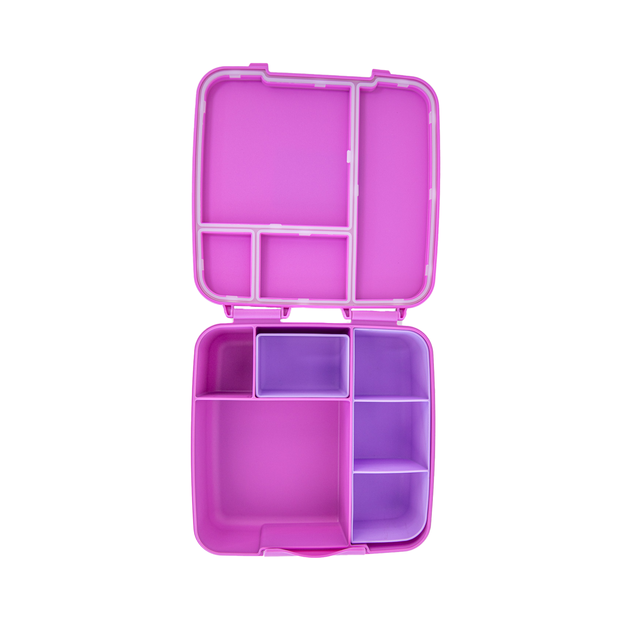 Fuchsia pink feast bento lunch box by montiiCo