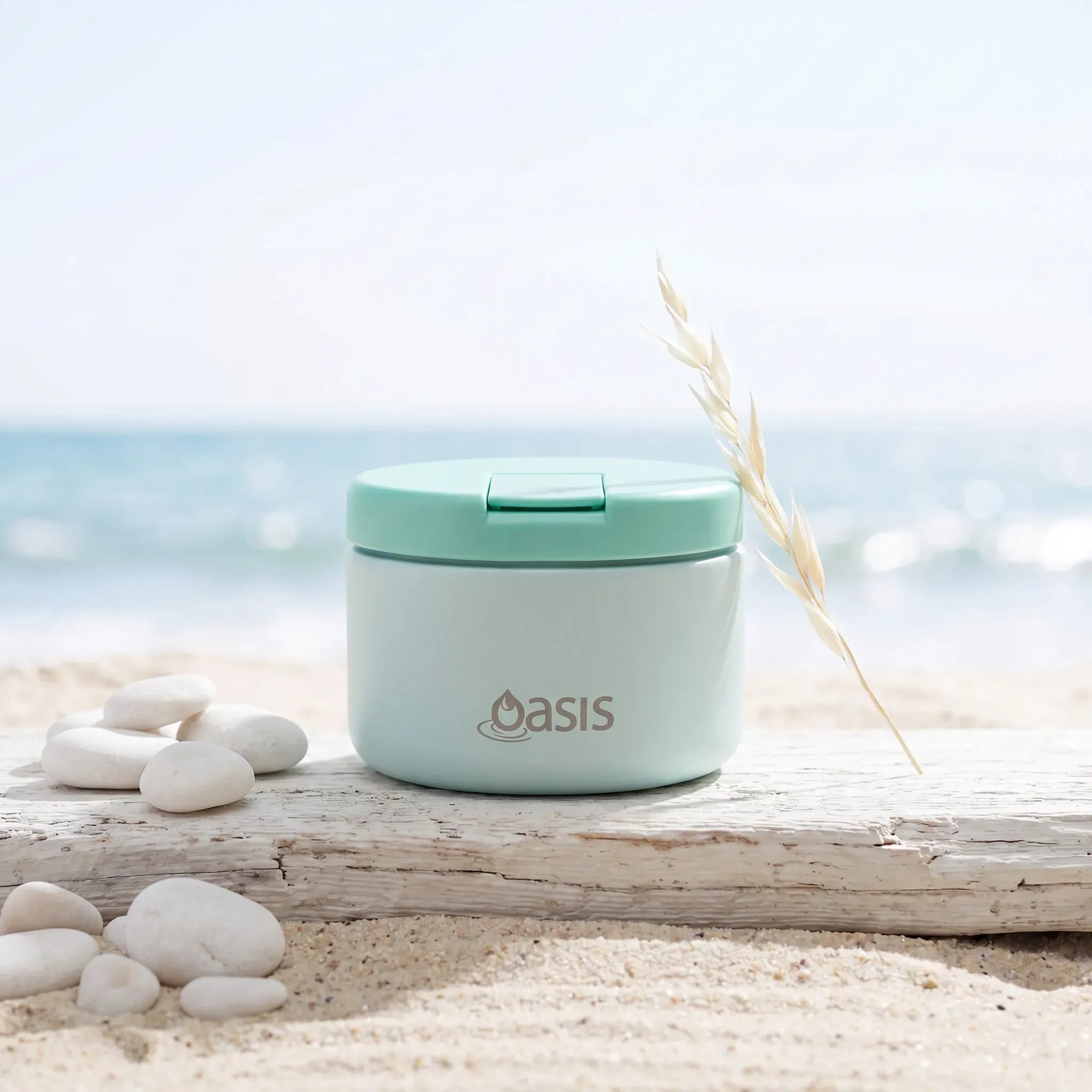 Oasis Stainless Steel Food Jar (300ml) - mint