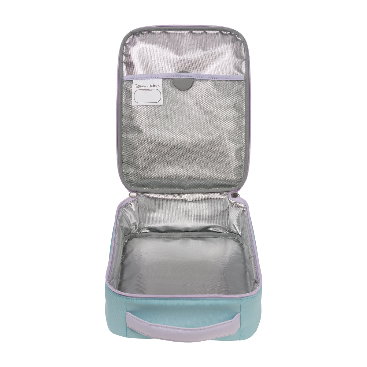 frozen insulated lunch bag