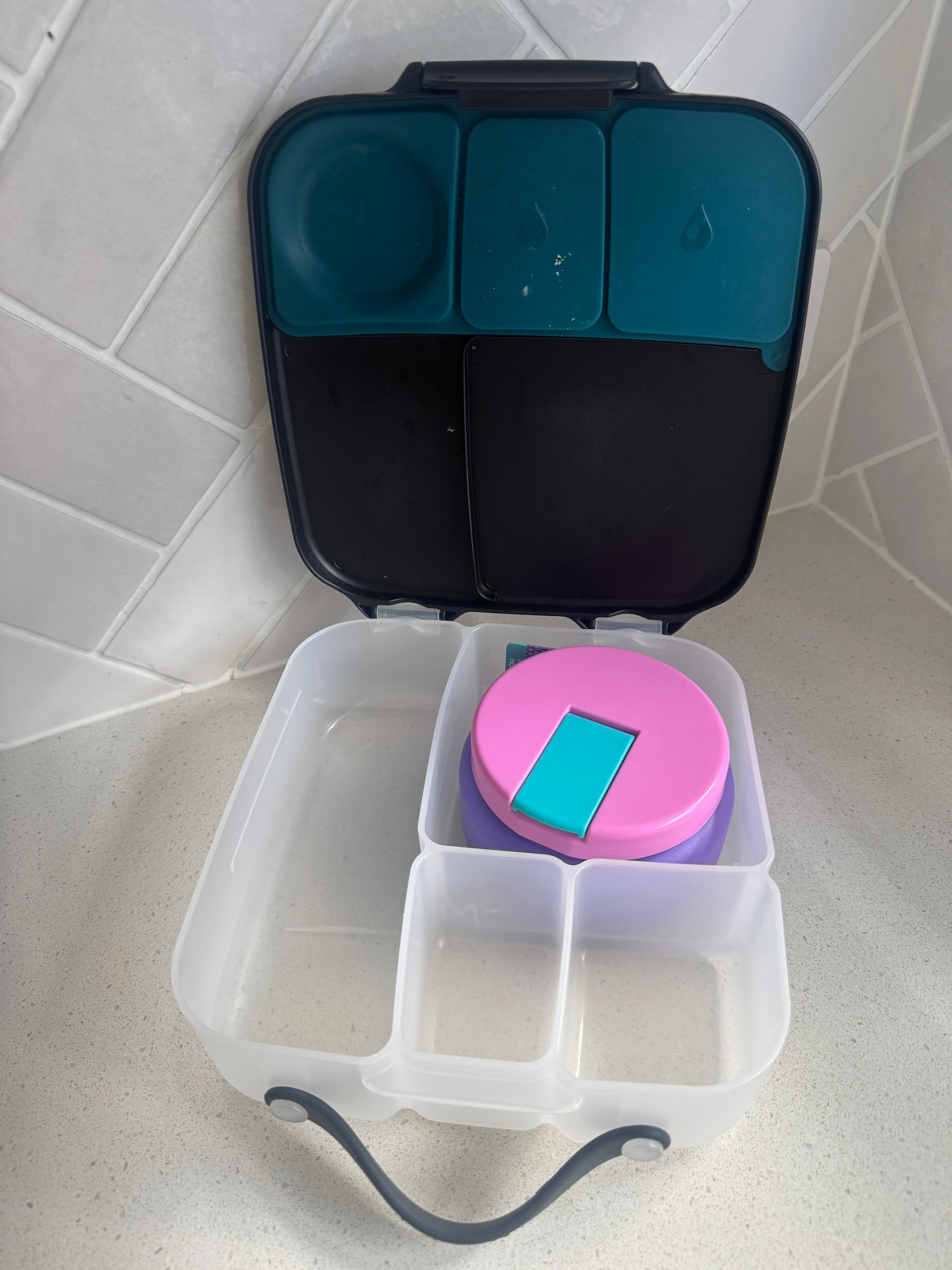 Oasis Stainless Steel Food Jar (230ml) - mermaid purple