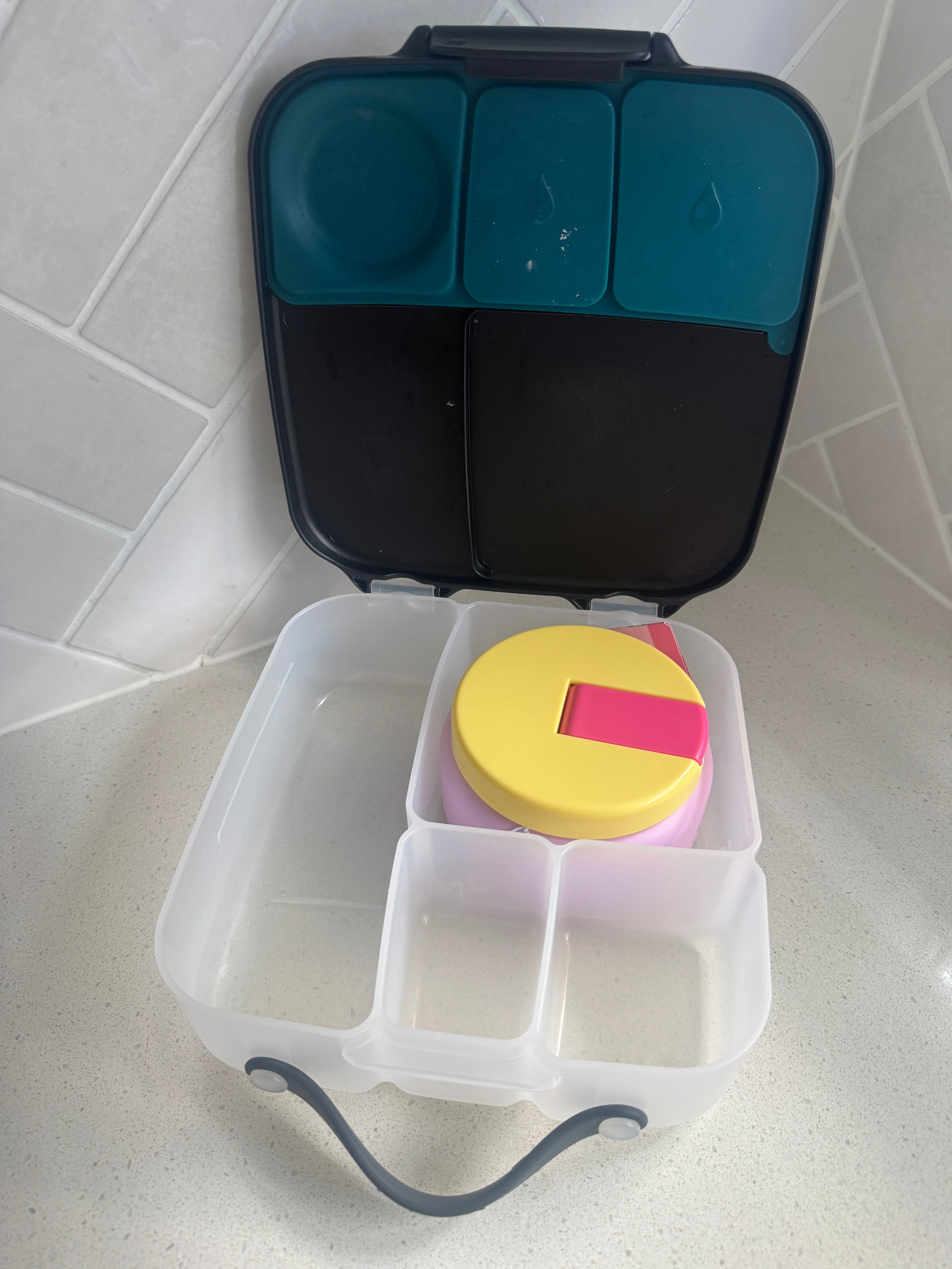 Oasis Stainless Steel Food Jar (230ml) - bubblegum pink