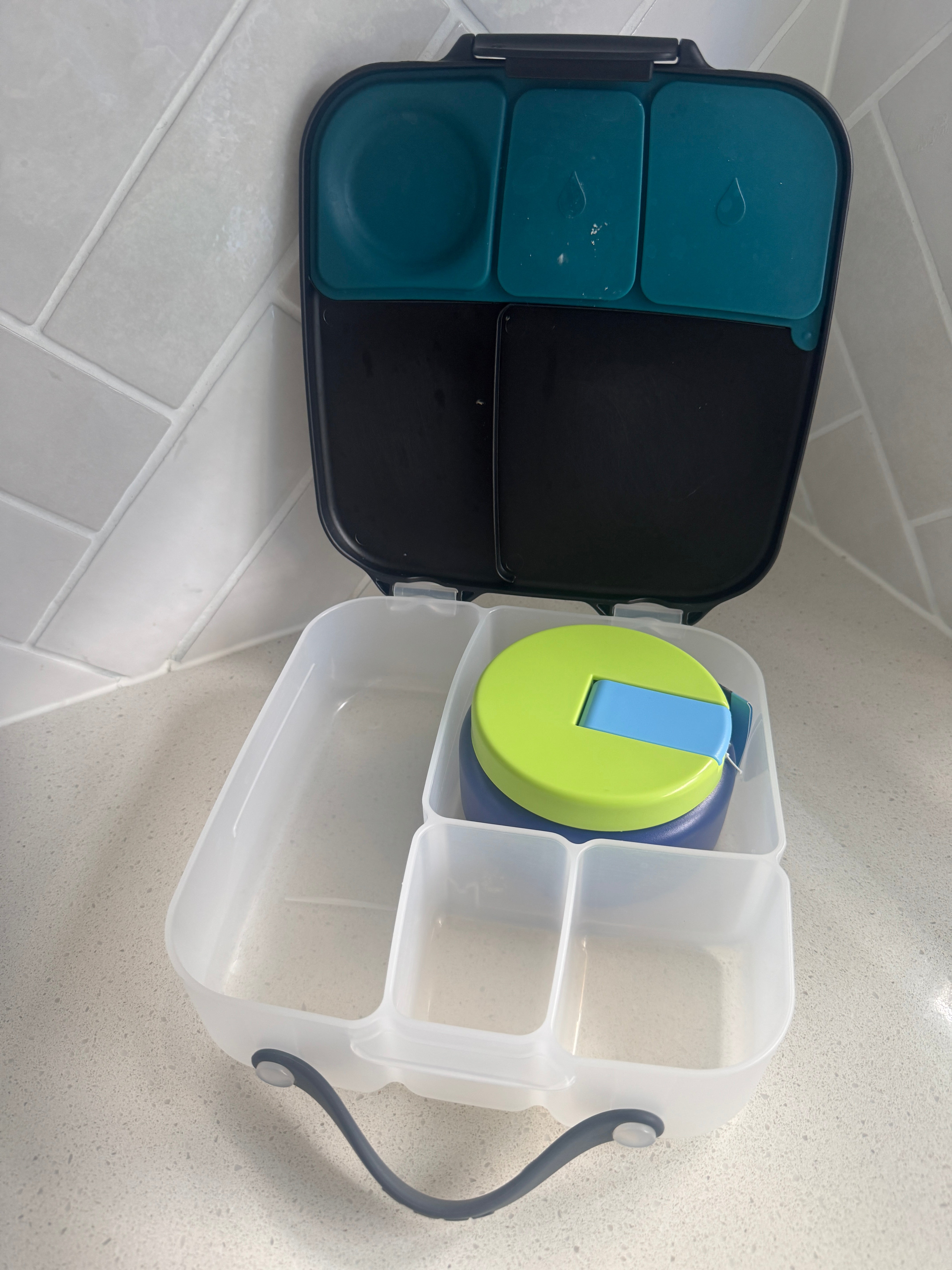 Oasis Stainless Steel Food Jar (230ml) - peacock blue