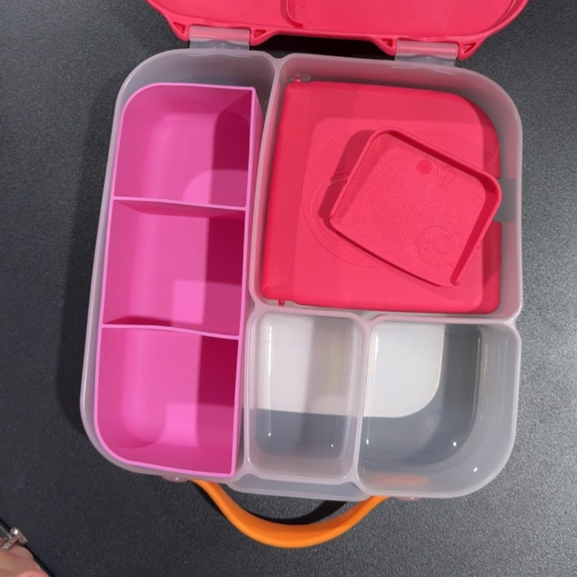 viral pink silicone feast tray and bbox lunch box