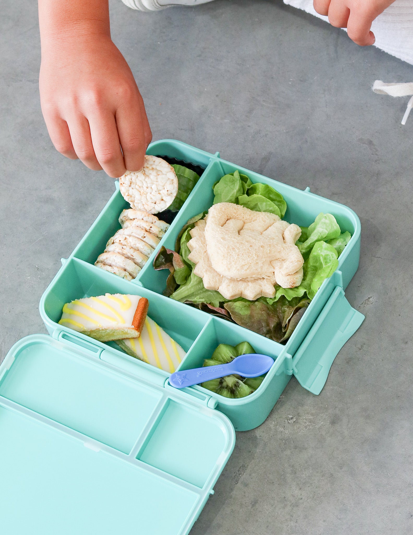 MontiiCo lagoon green bento plus lunch box