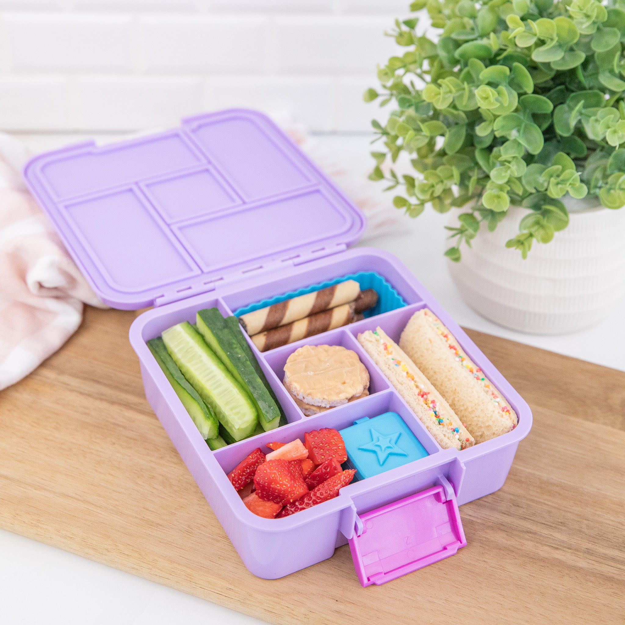 dusk purple bento five lunch box