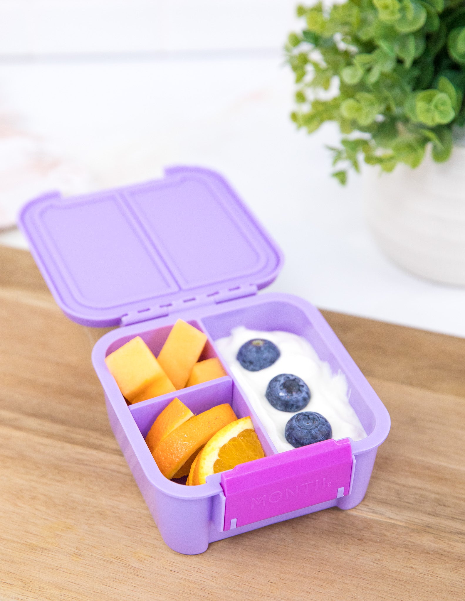 Dusk purple bento two lunch box