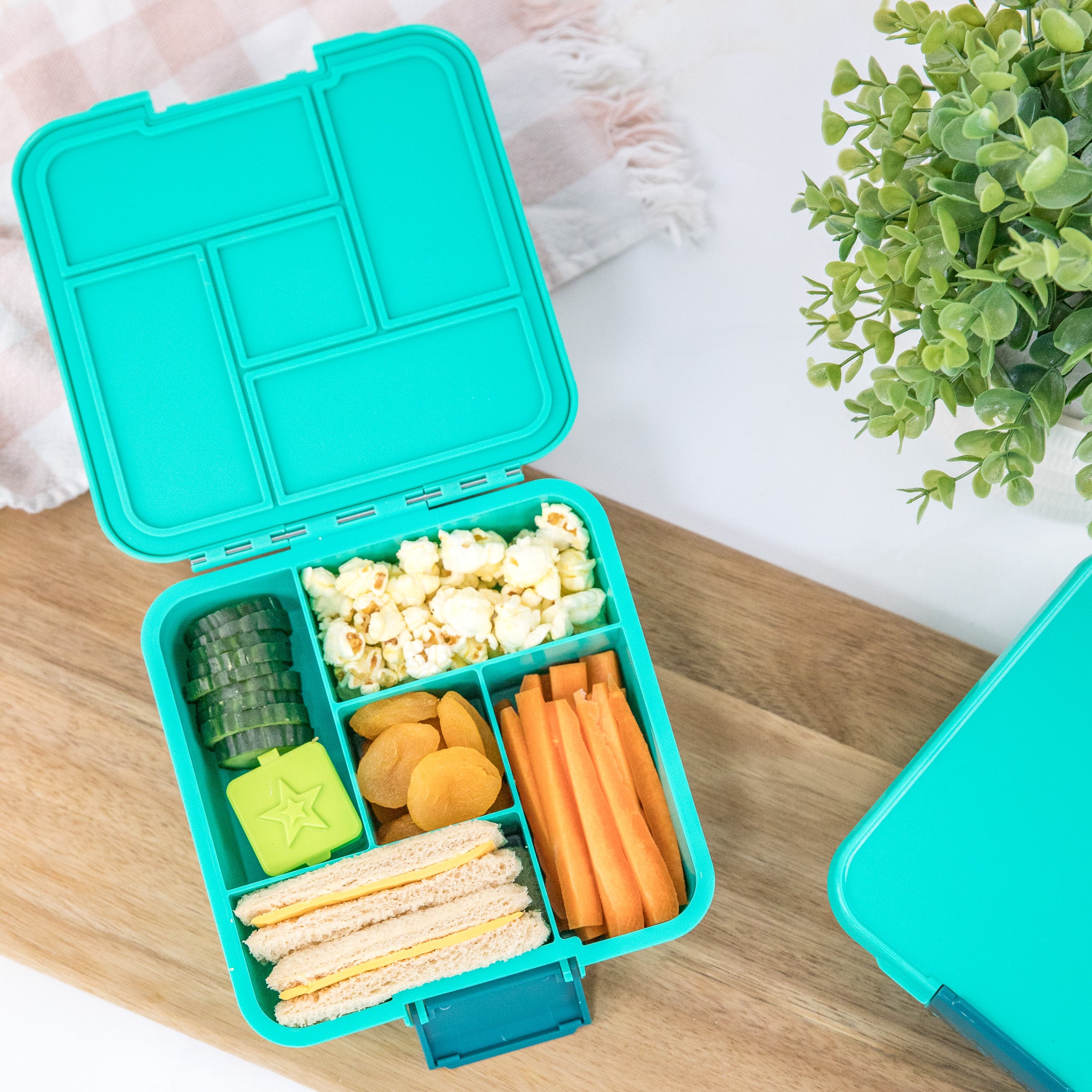 Mojito green bento five lunch box