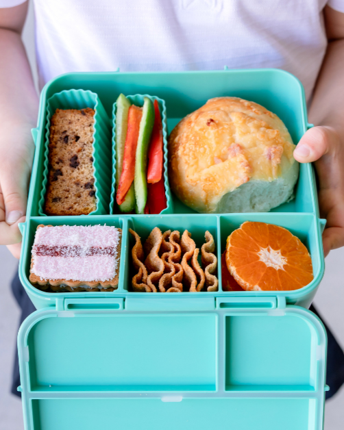 MontiiCo lagoon green bento plus lunch box