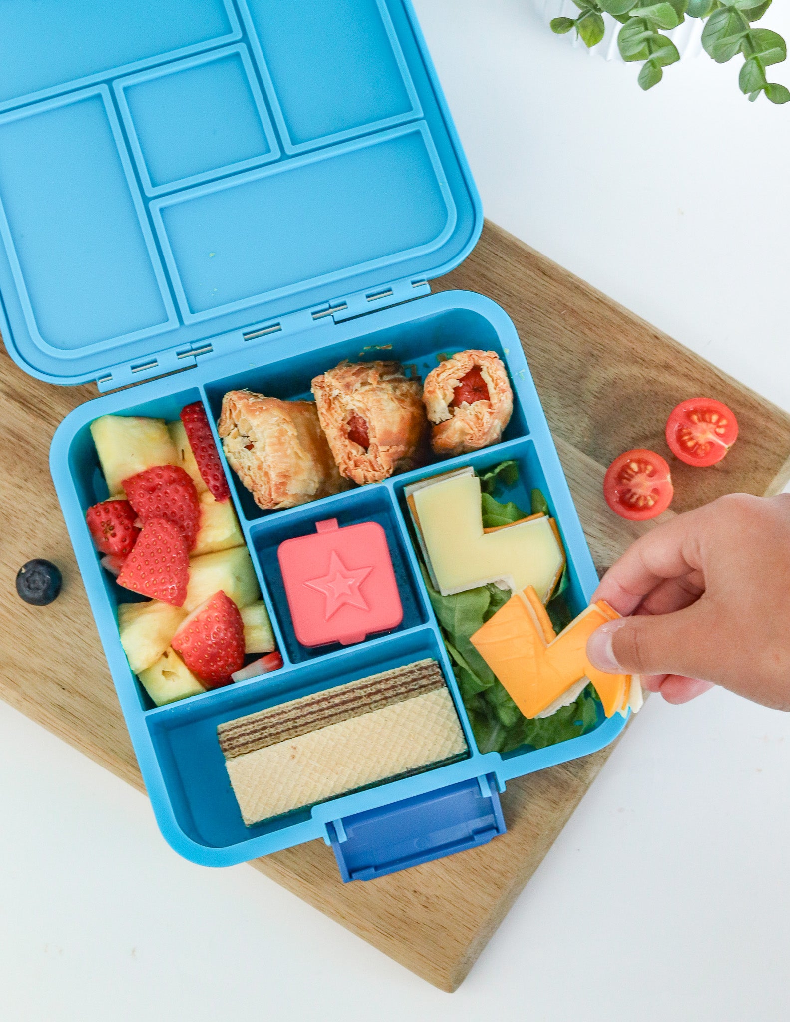 Coastal blue bento five lunch box