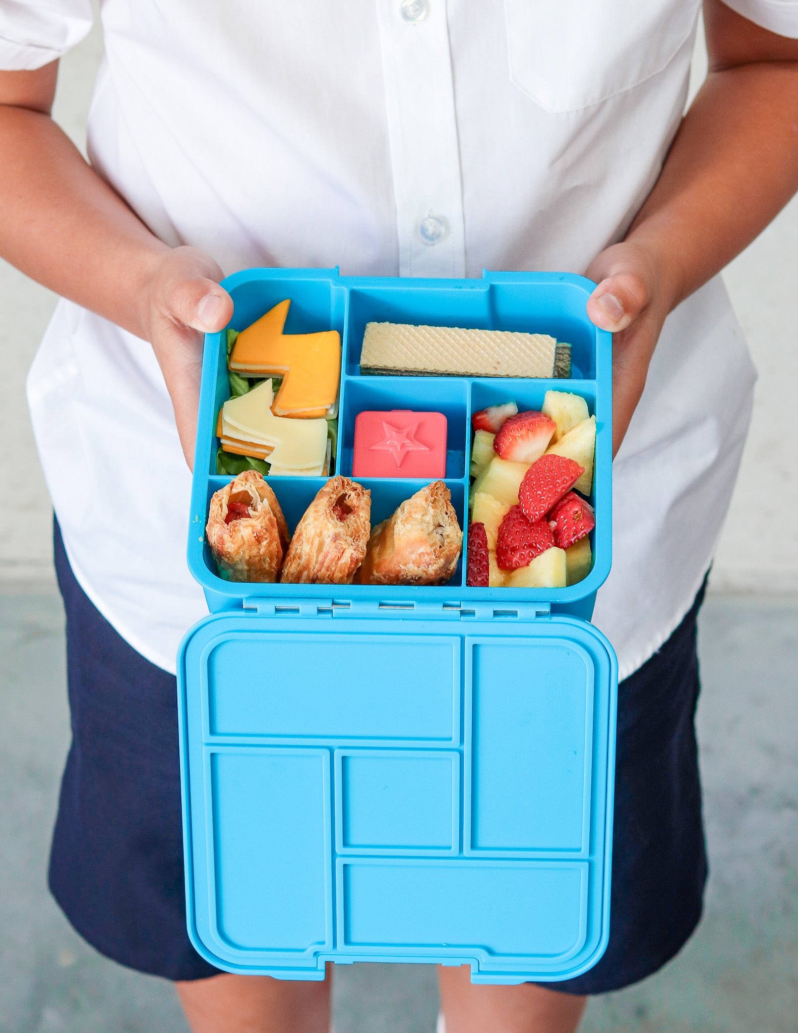 Coastal blue bento five lunch box