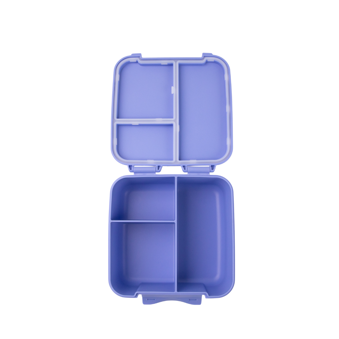 splash blue bite lunch box