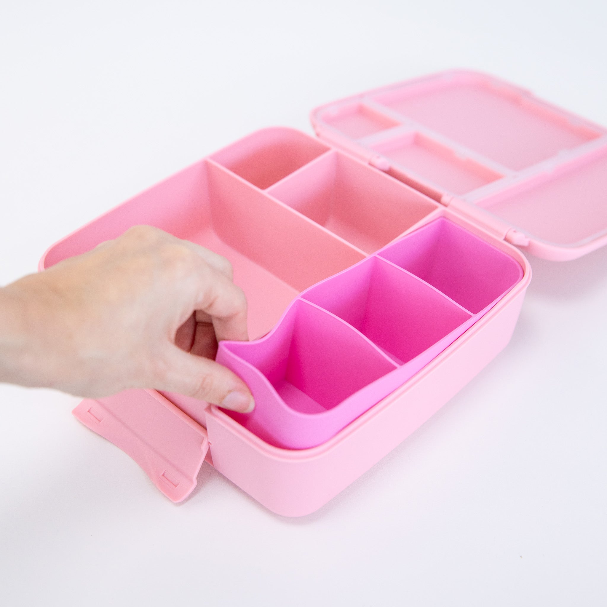 Dahlia pink feast bento lunch box by Montiico