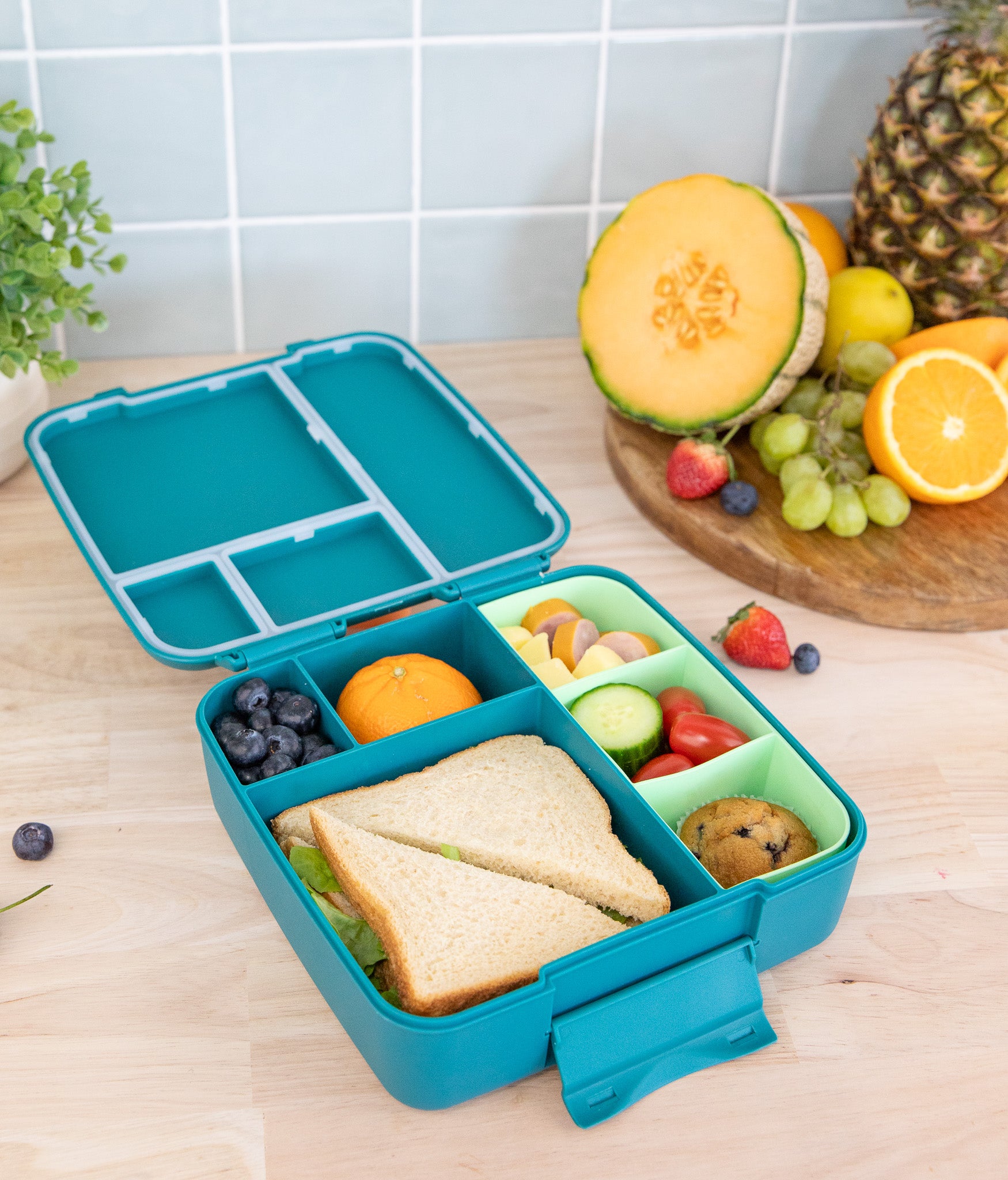 MOntiico feast pine green bento lunch box