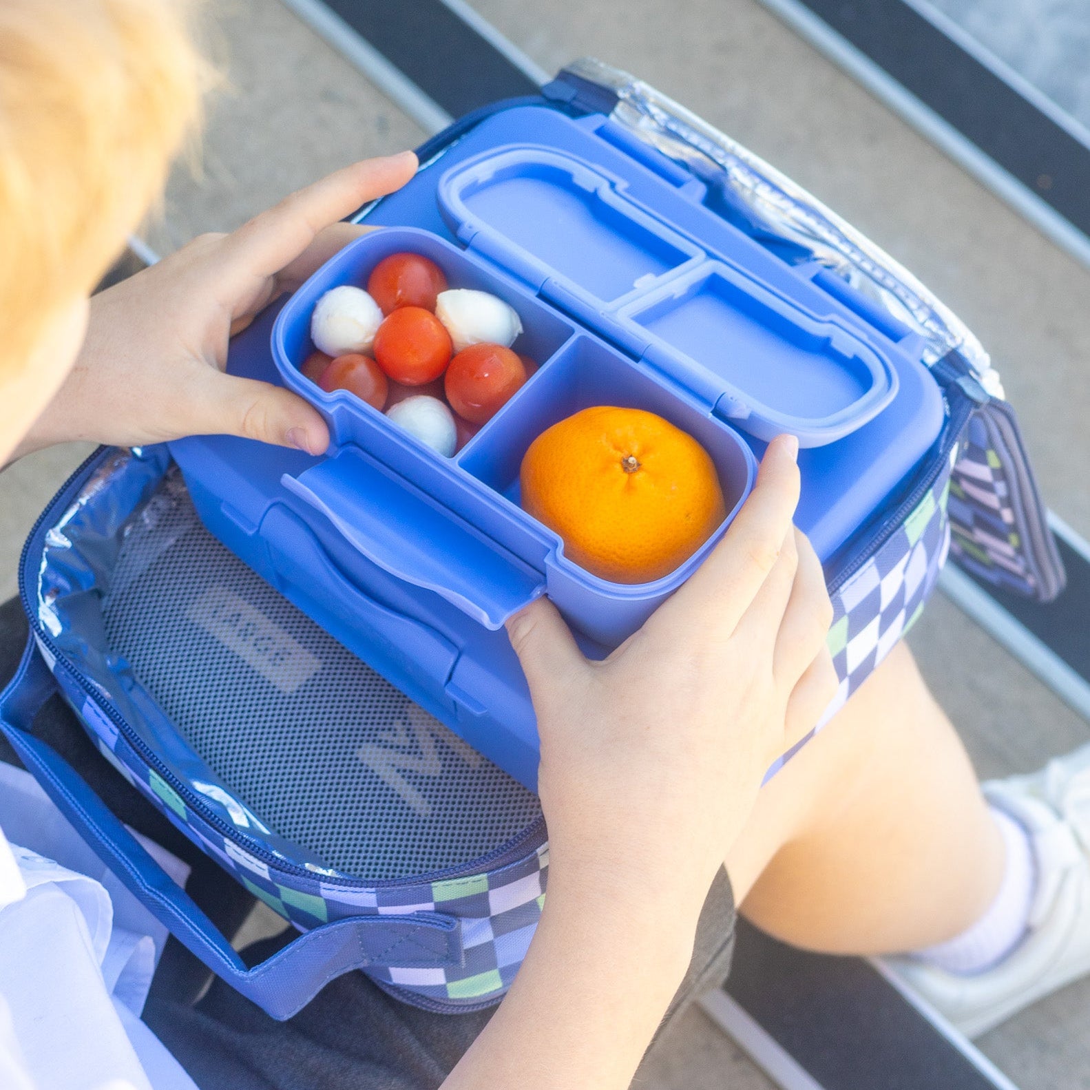 Snack Lunch Box - Splash