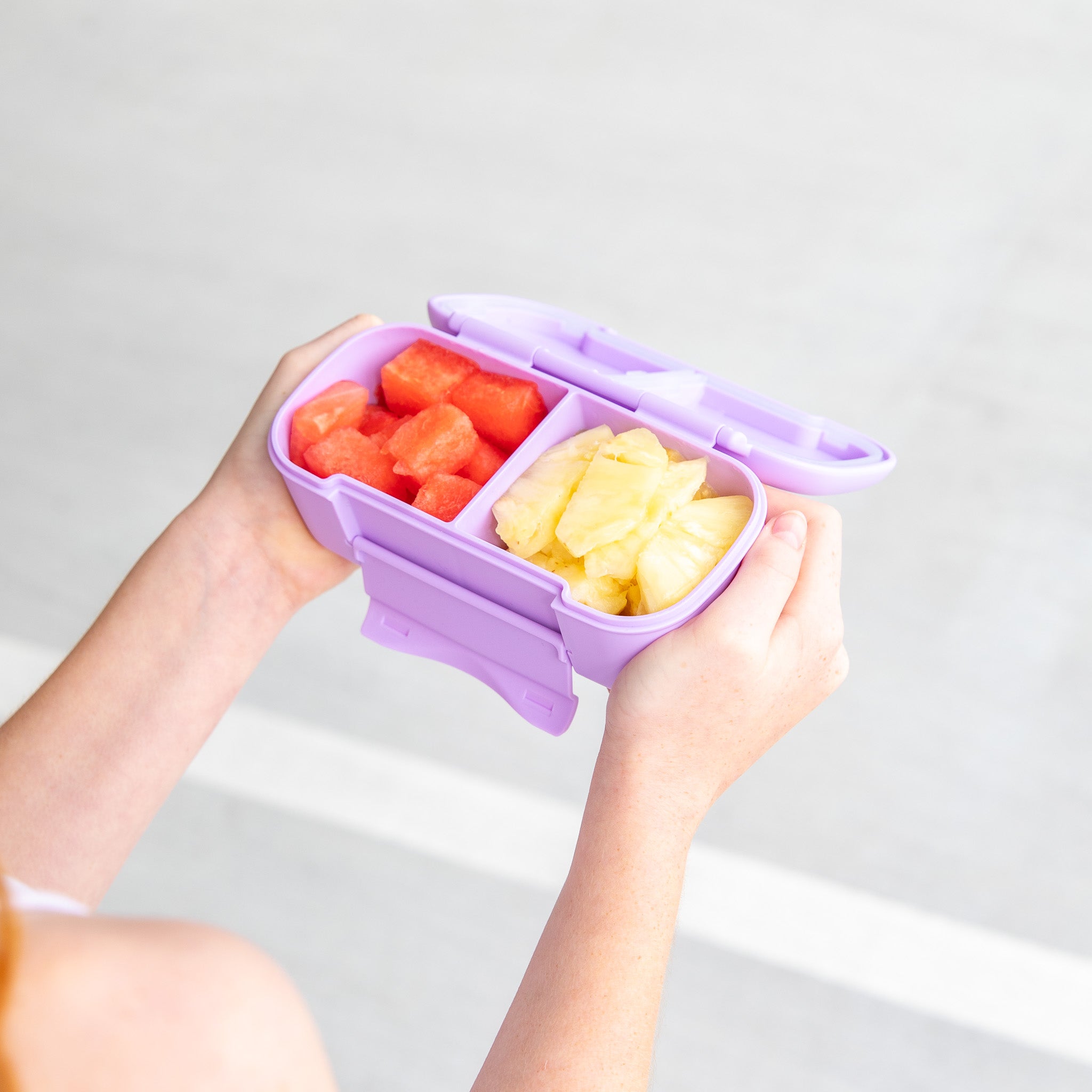 lilac purple snackbox