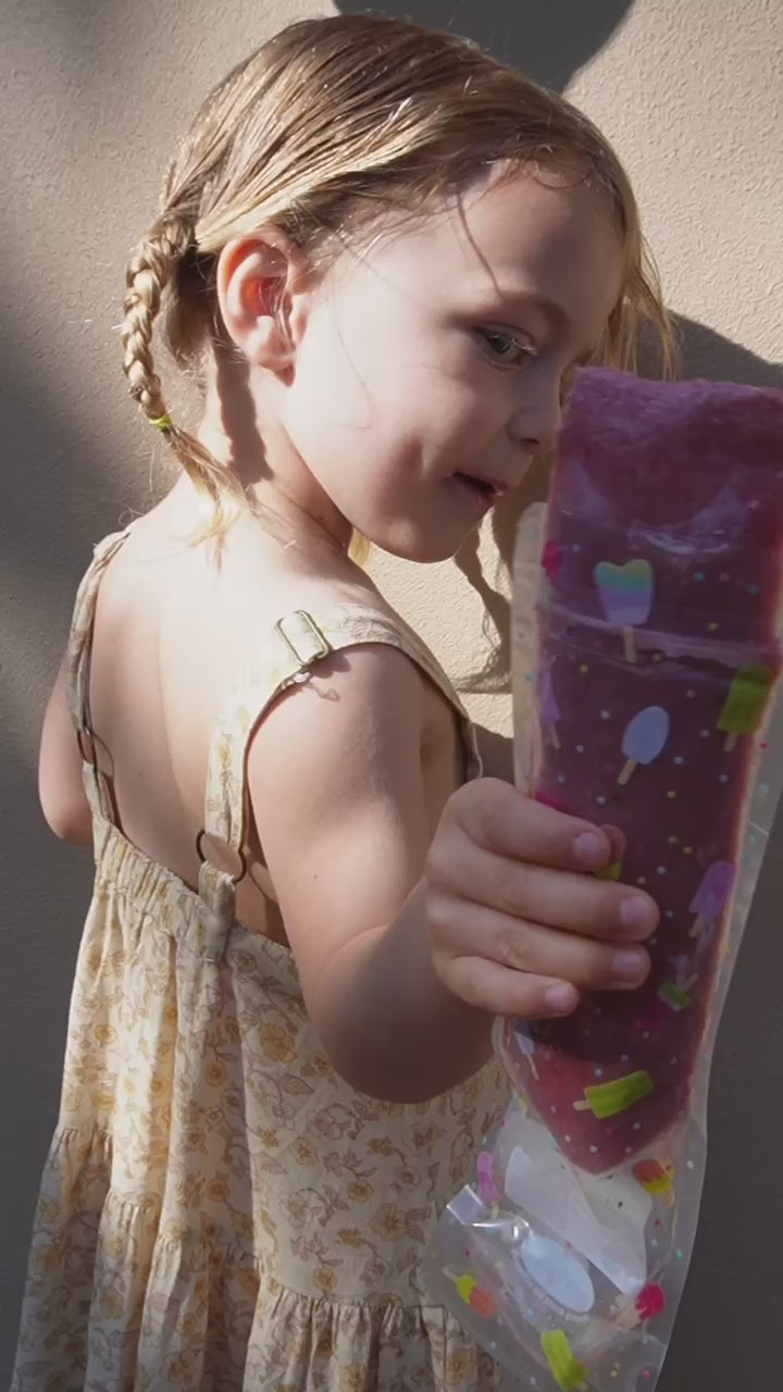 make your own homemade ice blocks